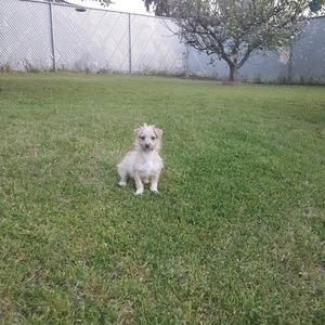 Meet your Posher, Soledad